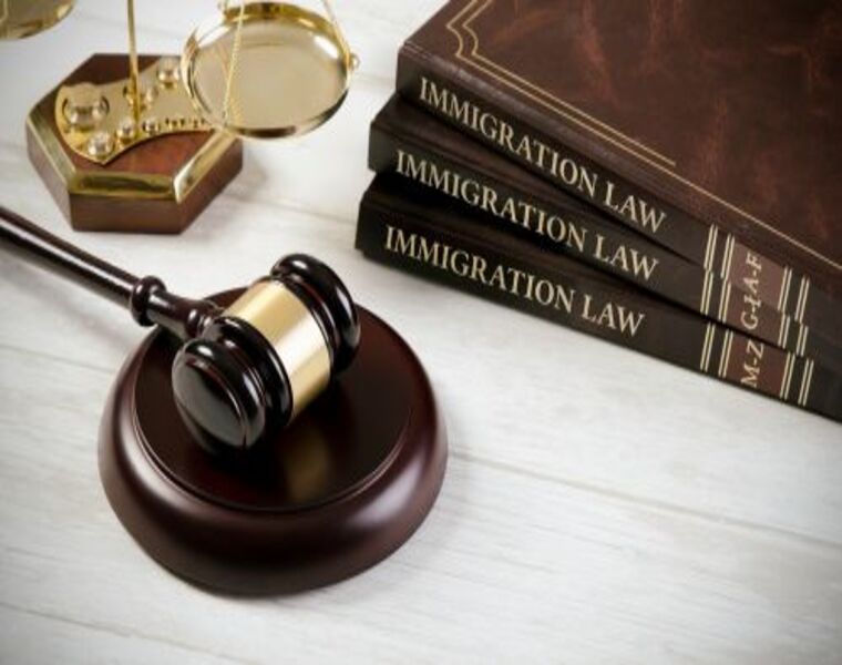 IMMIGRATION AND CITIZENSHIP LAW